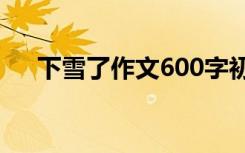 下雪了作文600字初中 “下雪了”作文