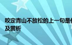 咬定青山不放松的上一句是什么 咬定青山不放松的全诗翻译及赏析