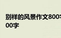 别样的风景作文800字初三 别样的风景作文800字