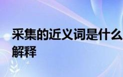 采集的近义词是什么 标准答案 采集近义词及解释