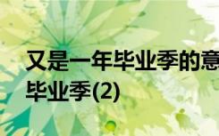 又是一年毕业季的意思 经典语录：又是一年毕业季(2)