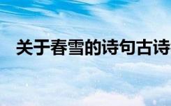 关于春雪的诗句古诗名句 关于春雪的诗句