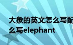 大象的英文怎么写配精美插图 大象的英文怎么写elephant