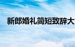 新郎婚礼简短致辞大全 新郎婚礼简短致辞