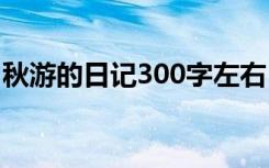 秋游的日记300字左右 秋游的优秀日记100字