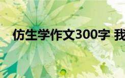 仿生学作文300字 我的仿生学小发明作文