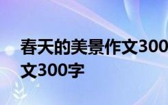 春天的美景作文300字三年级 春天的美景作文300字