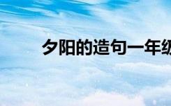 夕阳的造句一年级简单 夕阳的造句