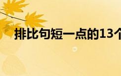 排比句短一点的13个字 排比句 短一点的