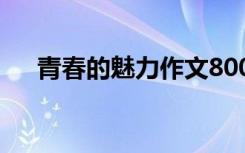 青春的魅力作文800字 青春的魅力作文