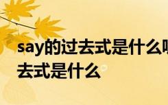 say的过去式是什么呢 say的过去式是什么过去式是什么