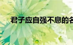 君子应自强不息的名言 自强不息的名言