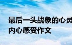 最后一头战象的心灵感悟 最后一头战象嘎羧内心感受作文