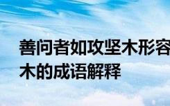 善问者如攻坚木形容什么生肖 善问者如攻坚木的成语解释