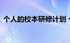 个人的校本研修计划 个人校本研修学习计划