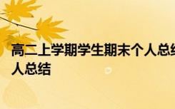 高二上学期学生期末个人总结怎么写 高二上学期学生期末个人总结