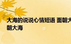 大海的说说心情短语 面朝大海的说说 大海的优秀作文：面朝大海