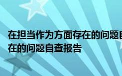 在担当作为方面存在的问题自查报告范文 在担当作为方面存在的问题自查报告