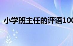 小学班主任的评语100字 小学班主任的评语