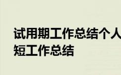 试用期工作总结个人情况简介 试用期个人简短工作总结