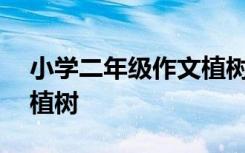 小学二年级作文植树200字 小学二年级作文植树