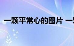 一颗平常心的图片 一颗平常的心作文500字