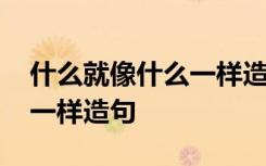 什么就像什么一样造句二年级 什么就像什么一样造句