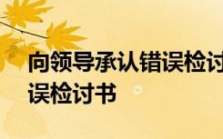 向领导承认错误检讨书100字 向领导承认错误检讨书