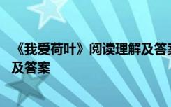 《我爱荷叶》阅读理解及答案四年级 《我爱荷叶》阅读理解及答案