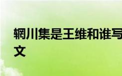 辋川集是王维和谁写的 《辋川集金屑泉》原文