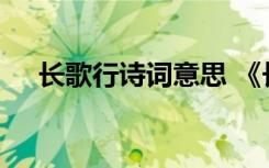 长歌行诗词意思 《长歌行》古诗的意思