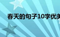 春天的句子10字优美 春天的句子10个字