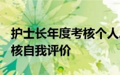 护士长年度考核个人总结2023年 护士年度考核自我评价