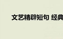 文艺精辟短句 经典文艺句子摘录39条