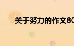 关于努力的作文800字 勤奋学习作文