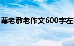 尊老敬老作文600字左右 尊老敬老600字作文