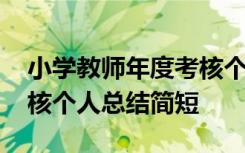 小学教师年度考核个人总结简短 教师年度考核个人总结简短