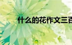 什么的花作文三百字 什么的花作文