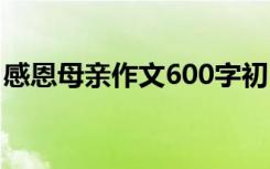 感恩母亲作文600字初中 感恩母亲作文600字