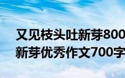 又见枝头吐新芽800字作文高中 又见枝头吐新芽优秀作文700字