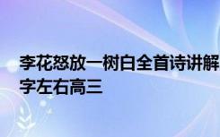 李花怒放一树白全首诗讲解 “李花”怒放一树白作文1000字左右高三