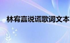 林宥嘉说谎歌词文本图片 林宥嘉说谎歌词