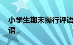 小学生期末操行评语差生 小学生期末操行评语