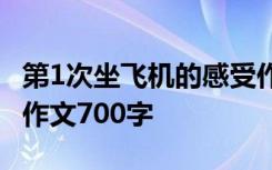 第1次坐飞机的感受作文 第一次坐飞机的感觉作文700字