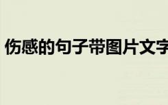 伤感的句子带图片文字 伤感的句子带图片(2)