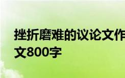 挫折磨难的议论文作文 挫折磨难的高中生作文800字