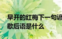 早开的红梅下一句谚语是什么 早开的红梅的歇后语是什么