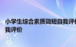 小学生综合素质简短自我评价怎么写 小学生综合素质简短自我评价