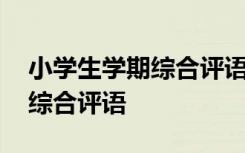 小学生学期综合评语社区怎么写 小学生学期综合评语