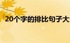 20个字的排比句子大全 20个字的排比句子